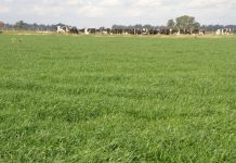 Inmobiliario rural, fuerte golpe a los productores