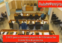 El HCD paso a Comisión proyecto de Ordenanza San Vicente libre de pirotecnia