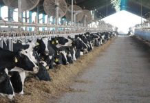 El campo reclama reunión con Vidal «ante la creciente presión tributaria»