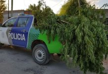 Operativos Antidrogas con detenidos, secuestro de cocaína y marihuana