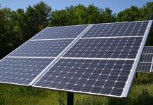 Buquebús anunció la construcción de una gran central de energía fotovoltaica en Domselaar