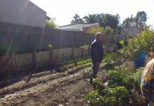 Culminó el curso de huerta agroecológica
