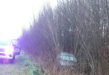 Despiste en Ruta 29 – Manejar con precaución