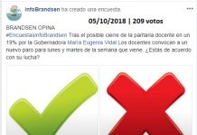 Encuestas InfoBrandsen