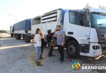 Llegaron cinco camiones de materiales de desarrollo social de Nación y de la Provincia