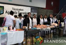 Exitosa jornada de orientación vocacional