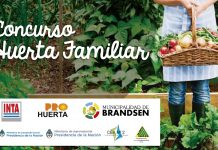 Se lanza el nuevo concurso de huerta familiar 2018