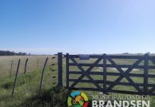 Nueva identificación de campos para mejor ubicación