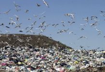 En siete años la basura aumentó más que la población
