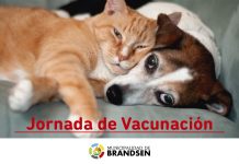 Hoy se vacunará gratis en el Matadero