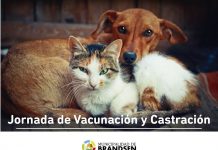Jornada de castración y vacunación en Las Acacias