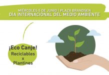 Miercoles 5 de junio, día internacional del medio ambiente