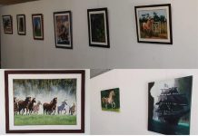 Una nueva muestra en la sala de Cultura
