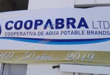 La cooperativa de Agua de Brandsen festejó su 50 aniversario. Todas las imágenes.