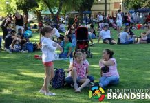Paseo de artesanos, música y sol pleno en la Feria de Noviembre