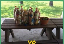 Proyecto GOMEZ RECICLA
