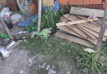 Segundo operativo en tres días contra la comercialización de drogas