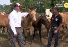El programa de Tv Expedición Merino visitó a la familia Plomer de Brandsen
