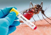 Detectaron 3 casos de Dengue en La Plata y ya suman 51 en la Provincia