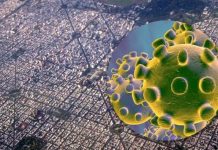 La Plata. Coronavirus; cumpliendo el protocolo, un matrimonio está en cuarentena en su domicilio.