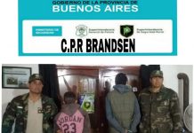 Dos personas aprehendidas por el robo de un animal tenencia de arma