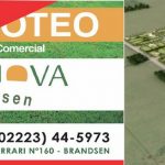 banner terranova notas