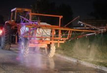 Domselaar: Seguimos haciendo trabajos de desinfección