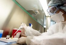 Coronavirus en Argentina: lograron descifrar el genoma del Covid-19 local