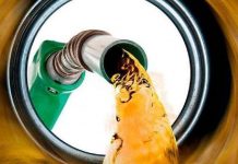 Shell denuncia un intento de estafa de combustible gratis que circula por WhatsApp