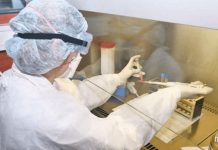 Chascomus, Castelli y Baradero volvieron a la fase 1 por un pico de contagio.