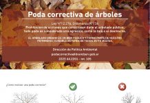 Tramitación del permiso de poda correctivo