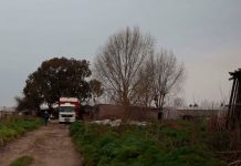 Otro femicidio en la Región y ya son 40 los crímenes en 2020