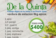 FeTraES: Bolsón de verduras, directamente de los productores rurales a cada familia