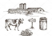 8 de septiembre “Día de la Agricultura y del Productor Agropecuario”