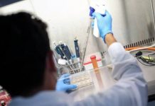 Científicos de la UNLP que crearon el test de COVID: «Es ejemplo de soberanía nacional»