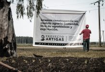 ¿El proyecto Artigas a Brandsen?