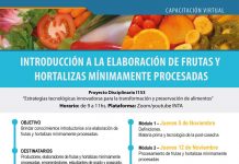 Capacitación virtual: Introducción a la elaboración de frutas y hortalizas mínimamente procesadas