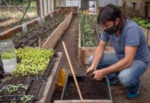 Cada vez más argentinos eligen comer sano