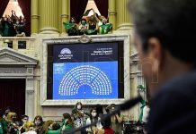 El aborto legal en la Argentina ya tiene media sanción y pasa al Senado para su definición