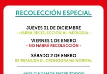 Recolección especial de año nuevo