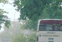 Voladura de techos, calles anegadas, postes de luz cortados, cables en el suelo y árboles caídos, fue el saldo de la sorpresiva tormenta de esta tarde