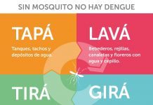 Dengue, Zika y Chikungunya: Información y prevención