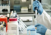 Qué es, cómo funciona y a quiénes beneficia el suero equino hiperinmune contra el Covid-19