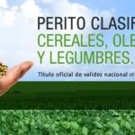 Perito
