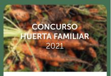 Concurso de Huerta Familiar