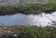 Carta de Lector: Zanja con mugre estancada en calle Ayacucho