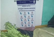 Brandsen: secuestraron 4,6 kilos de hojas de marihuana y aprehendieron a un sujeto