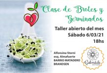 Taller abierto a la comunidad: Clase de brotes y germinados e intercambio de semillas
