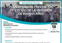 Plan oficial de prevención de ETS 2021 de la Provincia de Buenos Aires