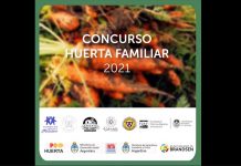 Concurso de huerta familiar 2021